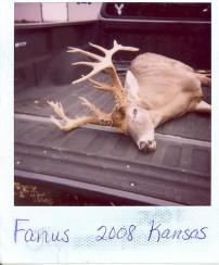 Fanus Kansas 08