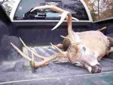 first buck of 2012 bow season