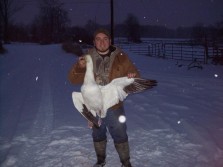 First Oregon Snow Goose