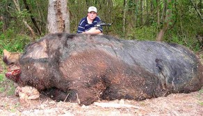 Giant hog taken with handgun.