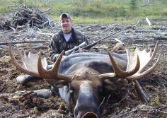 Huge Alaskan Moose
