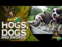 Hogs & Dogs