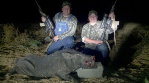 How Would you Handle This Hog at Night