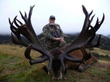 Red Stag Dream Hunt