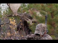 Intense Record Moose Hunt