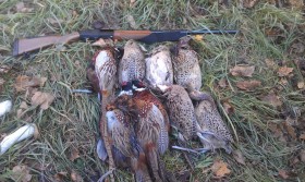 jersey pheasant hunting