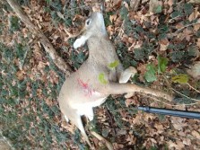 Lil 5 in the first five minutes of the first day of the weekend hunt