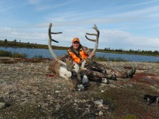 Manitoba Caribou 2012