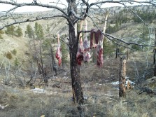 Montana Meat Pole