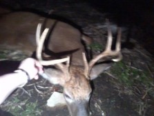 My 2nd deer! 8pt with a 15 inch spread!