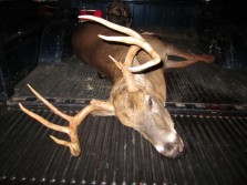My dads 10 point last year