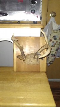 my messed up rack