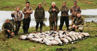 New Zealand late season Canada Goose Hunt