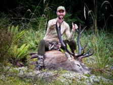 New Zealand Red Deer Hunting 