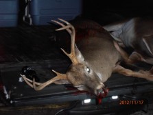 Nice deer from AL rifle opening day