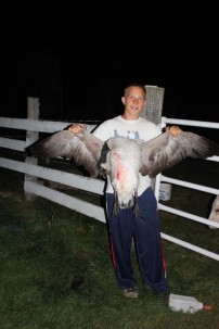 One shot, One goose
