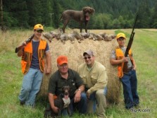 Pheasant Hunting in Oregon