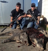 Pigs Taken on HeliHog Hunt