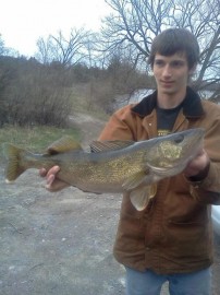 Pitches Walleye
