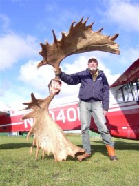 New World Record Moose