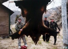 Record Kodiak Brown Bear