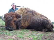 Record Texas Bison