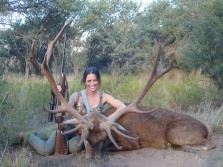 Another Argentina Red Stag
