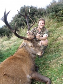 Red stag nz
