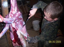 skinning the doe