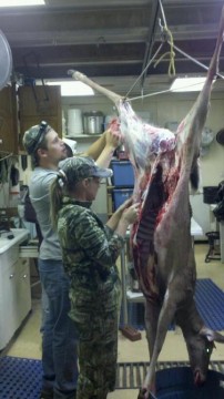 Skinning the first one of 2012
