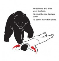 Bear Safety Instructions
