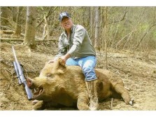 Tennessee Boar Hog