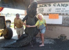Biggest Gator Ever