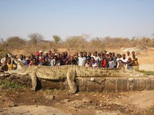 World Record Crocodile