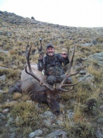 Wyoming Bull scored 325