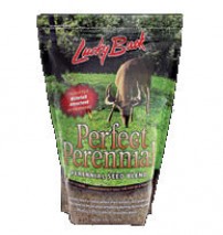 Perfect Perennial Food Plot Seed Blend