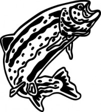 Trout Decal