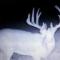Cody Burkett