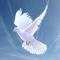 Angie Peace