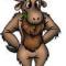 bushman jerry