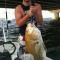 Tyler Olliff
