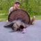 Jeff Gibbons