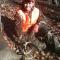Dawson Newbold