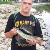 Aaron Chapman