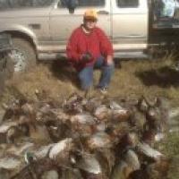 Austin Hayes
