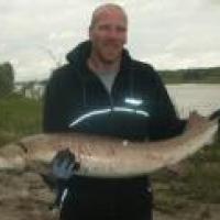 Troy Curle
