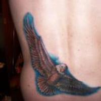 Ken Mcdonald