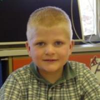 Andrew Bieler