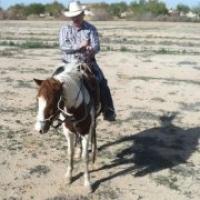 Butch Hesselgesser