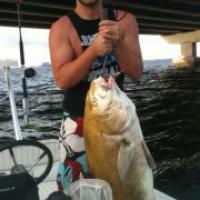 Tyler Olliff